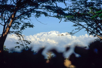Der Kilimanjaro