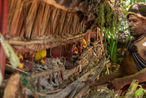Huli Wahrsager vor dem Schrein