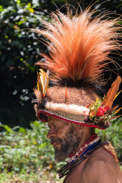Huli mit Pracht-Kopfschmuck aus Paradiesvogelfedern