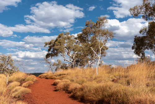 Farbdreiklang im Karijini NP
