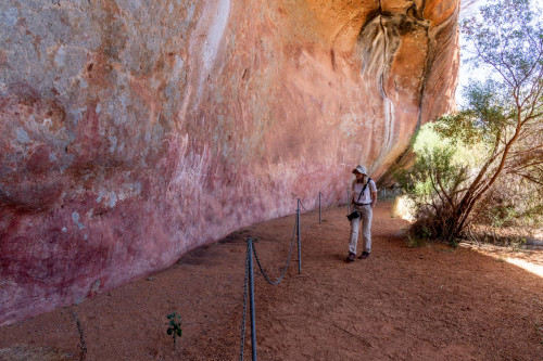 Felszeichnungen am Walghana Rock
