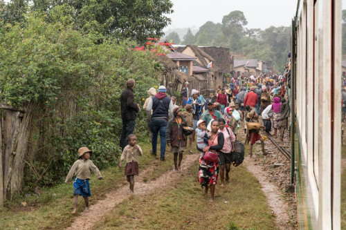 Am Bahnsteig im Regenwald