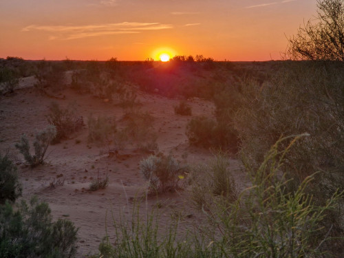 Sonnenuntergang über der Düne