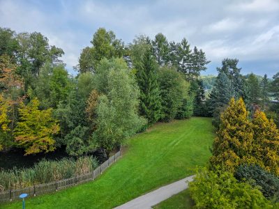 Blick in den Kurpark vom Hotelzimmer