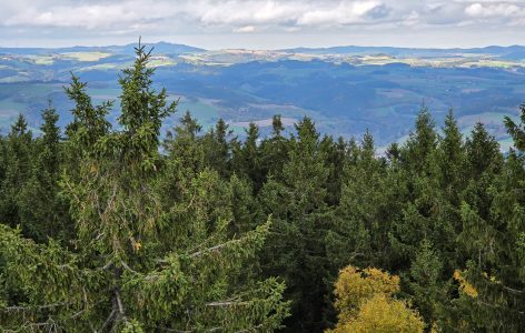Ausicht von der Kernstockwarte am Hutwisch
