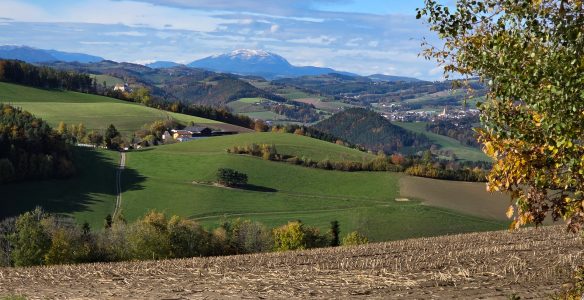 Blick zum Schneeberg