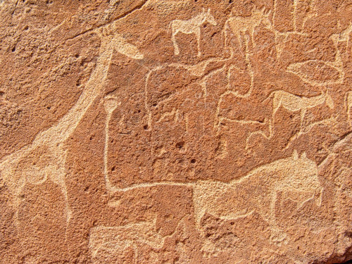 Felsritzungen in Twyfelfontein