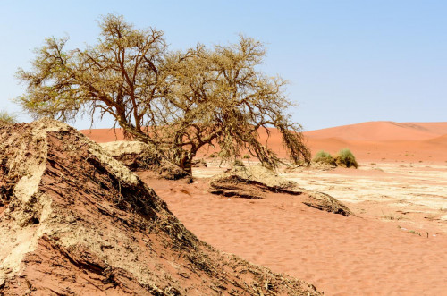 Namib Wüste