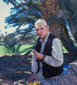 Mittagspause in einer Oase