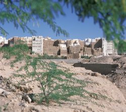 Blick auf Shibam, "Manhatten der Wüste"