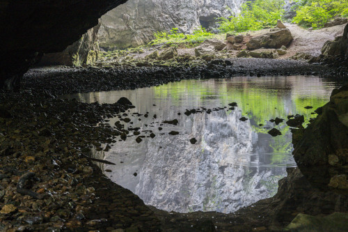 Doline in Rakov Škocjan