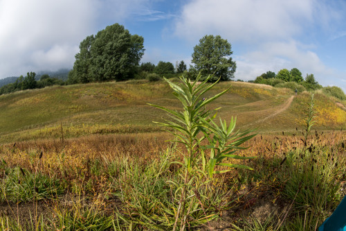 Sickersee Cerkniško jezero - Zirknitzer See