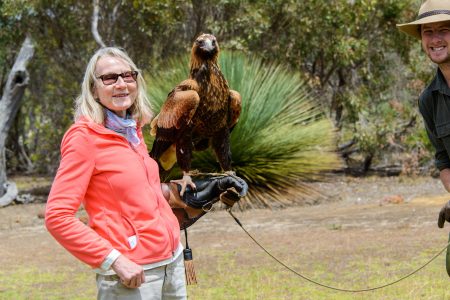 Rosmarie proudly presents: young wedgetailed eagle