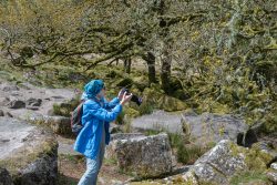 Rosmarie fotografiert des Wistmans Wood