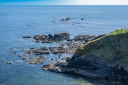Lizard Point