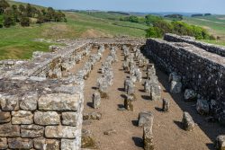 Housesteads