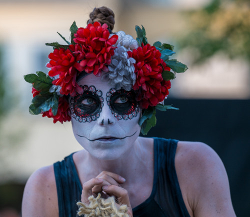 Cikultura Loop Cirkus