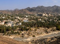 Blick auf Oase Jabrin mit der Festung