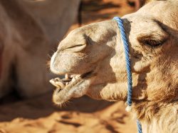 Ist aber ganz freundlich...