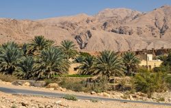 Am Weg zum Wadi Bani Khalid