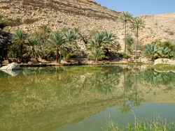 Pool im Wadi Bani Khalid