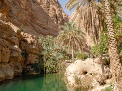 Im Wadi Shab