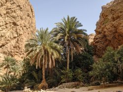 Im Wadi Shab