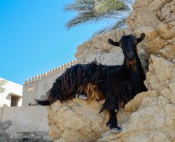 Gemütlicher Rastplatz