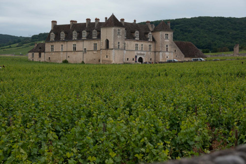 Weingut Clos de Vougeot, Grand Cru