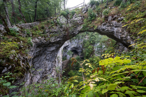 Naturbrücke - Rakov Skocjan