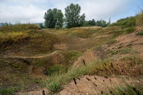 Sickersee Cerkniško jezero - Zirknitzer See
