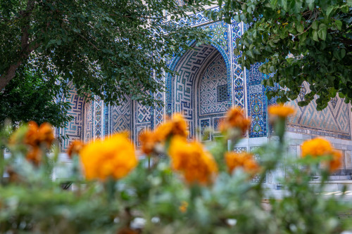 Registan, Tillakori Medrese