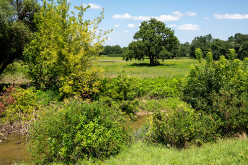 Der Mühlbach hinter dem Schloss und Blick in die Marchauen