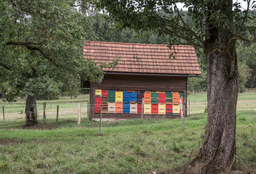 Bienenhaus - mit Elektrozaun vor naschhaften Bären gesichert