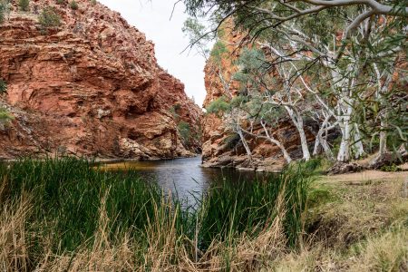 Ein erfrischender Billabong (Wasserloch)