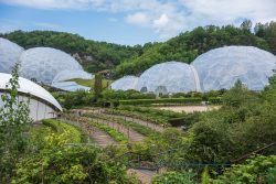 Biome und Apfelbaumallee