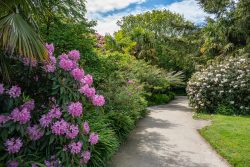 Spaziergang durch die Lost Gardens of Heligan