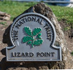 Lizard Point