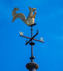 Wetter-Eichkatzerl