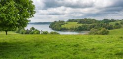Blick zum Fluss Fal