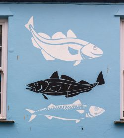 "Fish" - noch ohne "Chips"