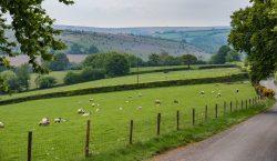 Landschaft im Exmoor