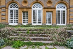 Die Orangerie mit Gänseblümchen