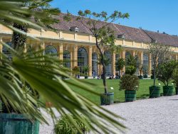 Große Orangerie Schönbrunn
