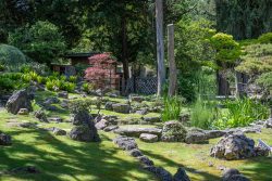 Japanischer Garten