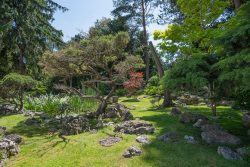 Japanischer Garten