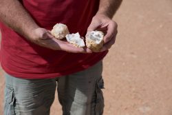 Geoden mit Quazkristallen