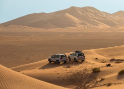 Unsere Geländewagen auf der Düne im Abendlicht