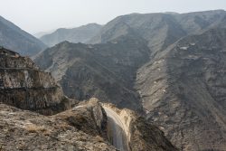 Auf dem Weg zu den Weihrauchbäumen