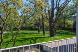 Blick von der Terrasse in den Garten